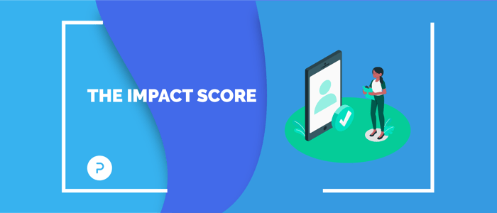 The Impact Score: A social, ecological & business transformation tool
