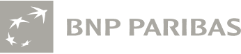 BNP Paribas-PALO IT